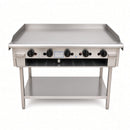 PGM-24 600mm Mild Steel Grill Plate on Stand with Shelf under